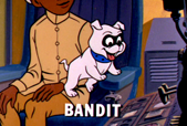 bandit